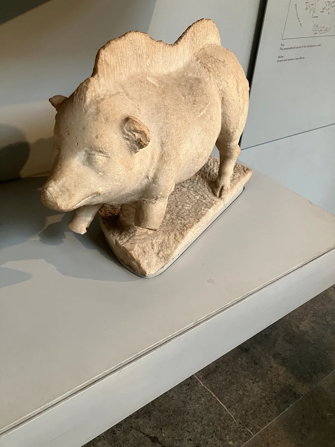 A carved stone pig displayed in a museum case